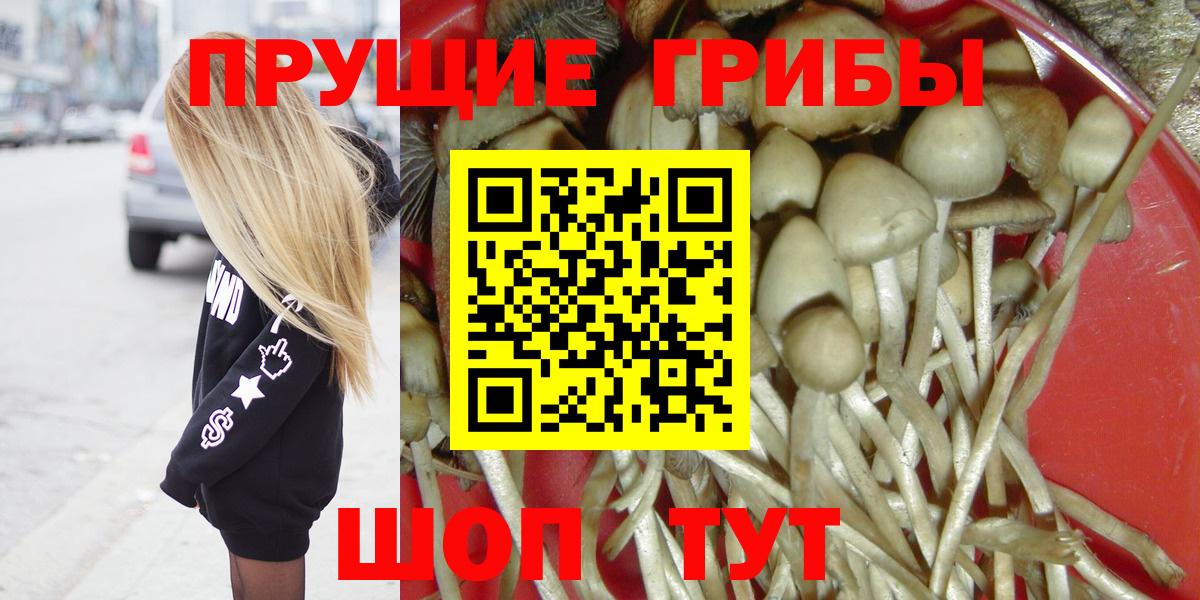 Галлюциногенные грибы MAGIC MUSHROOMS  Вход с VPN  Тихорецк 