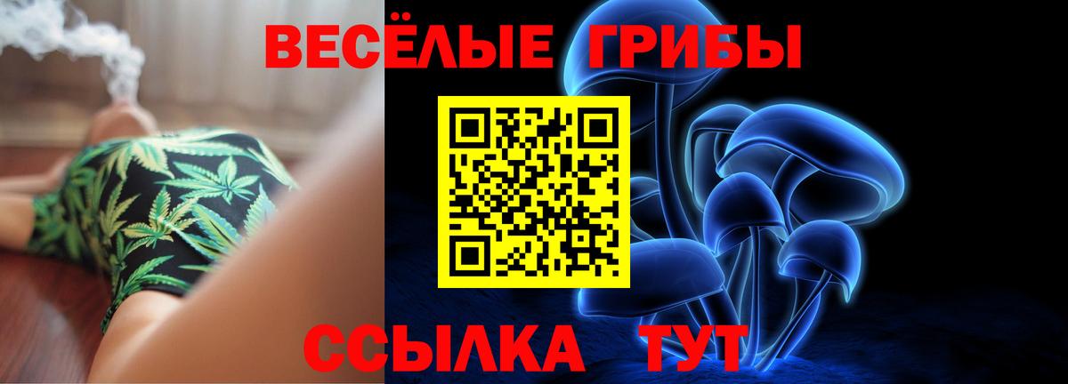 Галлюциногенные грибы Psilocybine cubensis Тихорецк