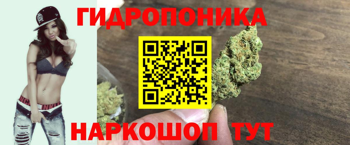 Шишки марихуана марихуана Тихорецк